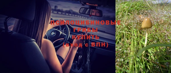 спайс Абинск